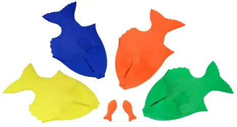 Backyard bass angler educator set.